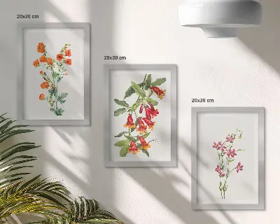 Vintage retro flower painting 3-piece wall art set