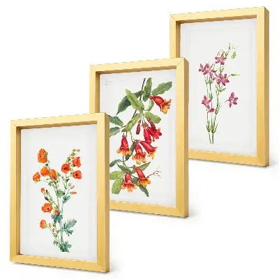 Vintage retro flower painting 3-piece wall art set