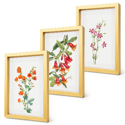 3-piece wall art set Vintage retro flower painting