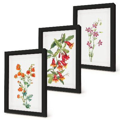 3-piece wall art set Vintage retro flower painting