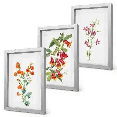 Vintage retro flower painting 3-piece wall art set