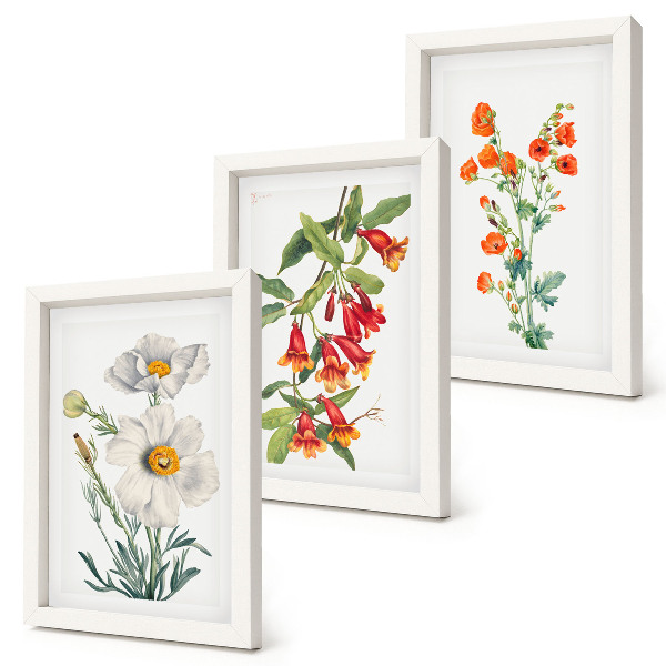Photo frame wall Floral compositions retro vintage painting