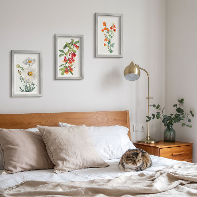 Photo frame wall Floral compositions retro vintage painting