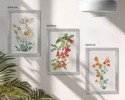 Photo frame wall floral compositions in a retro vintage painting style