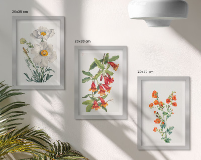 Photo frame wall Floral compositions retro vintage painting