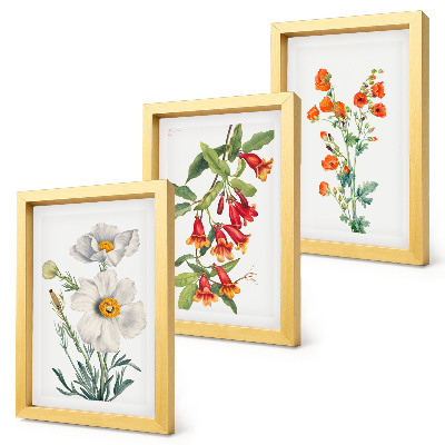 Photo frame wall Floral compositions retro vintage painting