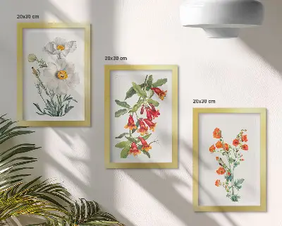 Photo frame wall floral compositions in a retro vintage painting style