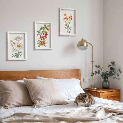 Photo frame wall Floral compositions retro vintage painting
