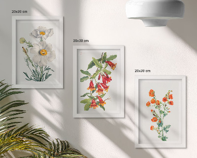 Photo frame wall Floral compositions retro vintage painting