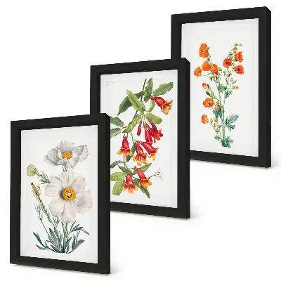 Photo frame wall floral compositions in a retro vintage painting style