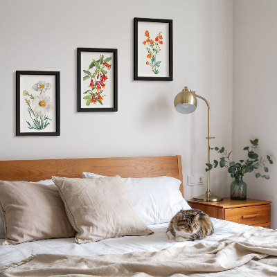 Photo frame wall Floral compositions retro vintage painting
