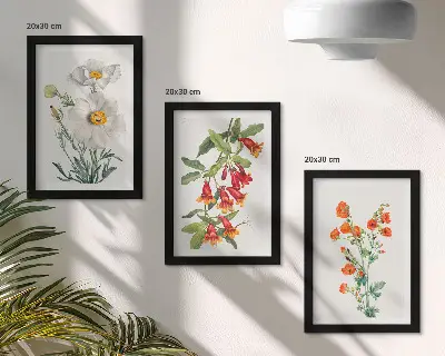Photo frame wall floral compositions in a retro vintage painting style