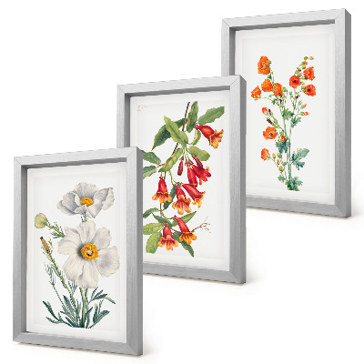 Photo frame wall Floral compositions retro vintage painting