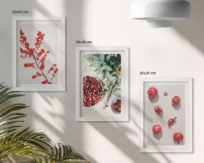 Red fruits and plants minimalist triptych framed in a minimalist style
