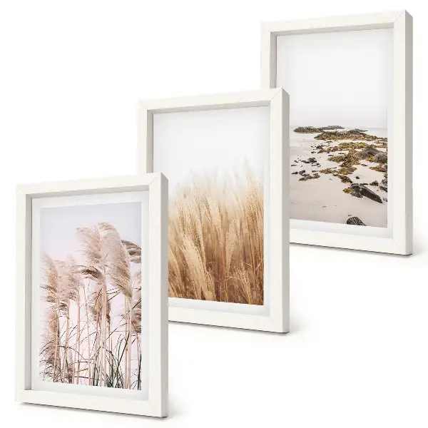 Photo frame wall pampas grass fields and boho beach print set