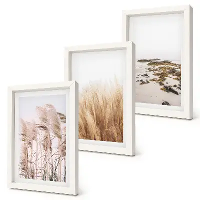 Photo frame wall pampas grass fields and boho beach print set