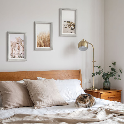 Photo frame wall Pampas grass fields and a boho beach