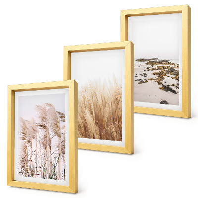 Photo frame wall Pampas grass fields and a boho beach