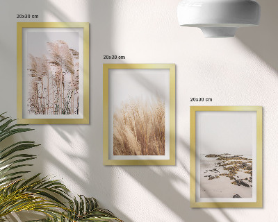 Photo frame wall Pampas grass fields and a boho beach