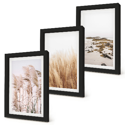 Photo frame wall Pampas grass fields and a boho beach