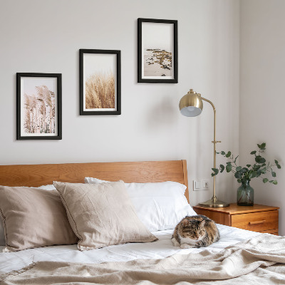 Photo frame wall Pampas grass fields and a boho beach