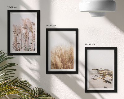 Photo frame wall Pampas grass fields and a boho beach
