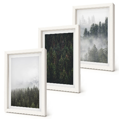 Photo frame wall Green forests in a misty natural setting