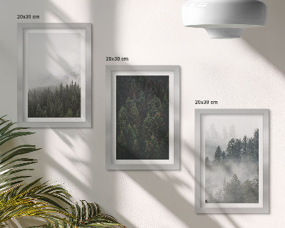 Photo frame wall Green forests in a misty natural setting