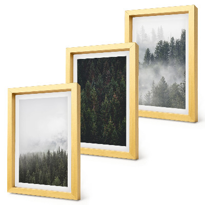 Photo frame wall Green forests in a misty natural setting