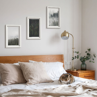 Photo frame wall Green forests in a misty natural setting