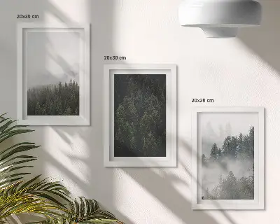 Photo frame wall with green forests in a misty natural setting