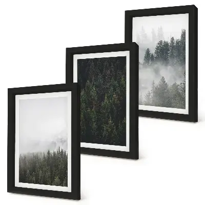Photo frame wall with green forests in a misty natural setting
