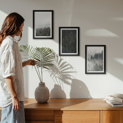 Photo frame wall Green forests in a misty natural setting
