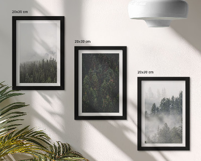 Photo frame wall Green forests in a misty natural setting