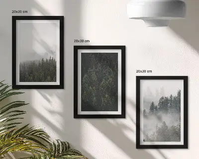 Photo frame wall with green forests in a misty natural setting