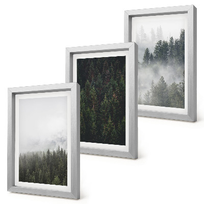 Photo frame wall Green forests in a misty natural setting
