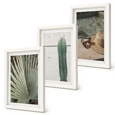 Photo frame wall with tropical plants and holiday accessories
