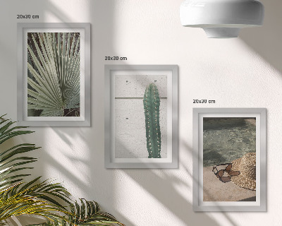 Photo frame wall Tropical plants and waterside holiday accessories