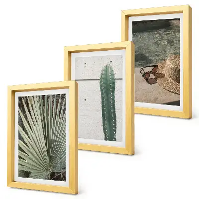 Photo frame wall with tropical plants and holiday accessories