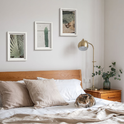 Photo frame wall Tropical plants and waterside holiday accessories