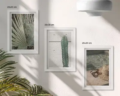 Photo frame wall with tropical plants and holiday accessories