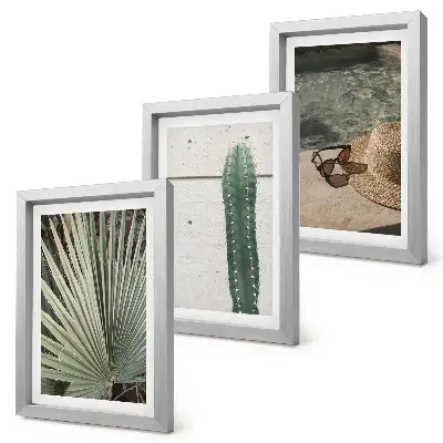 Photo frame wall with tropical plants and holiday accessories