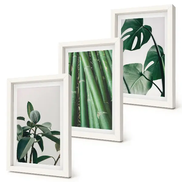 3-piece wall art set featuring bamboo stems and monstera leaves