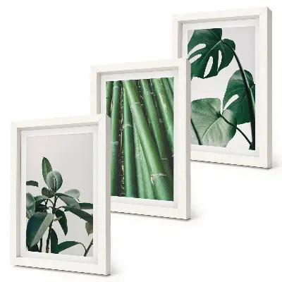 3-piece wall art set featuring bamboo stems and monstera leaves