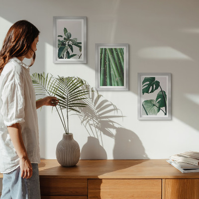 3-piece wall art set Bamboo stems houseplant and monstera leaves