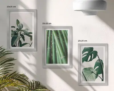 3-piece wall art set featuring bamboo stems and monstera leaves