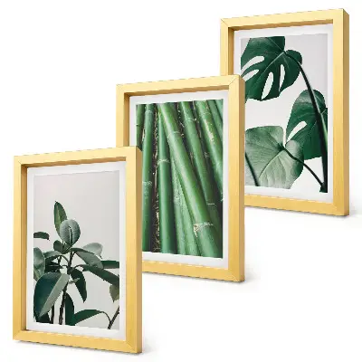 3-piece wall art set featuring bamboo stems and monstera leaves