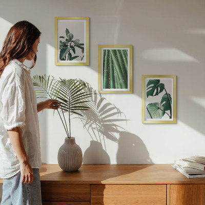 3-piece wall art set Bamboo stems houseplant and monstera leaves
