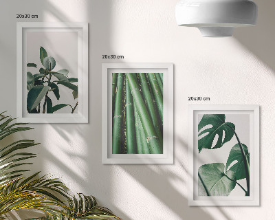 3-piece wall art set Bamboo stems houseplant and monstera leaves