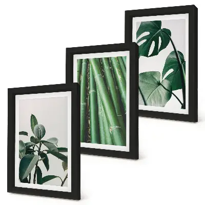 3-piece wall art set featuring bamboo stems and monstera leaves